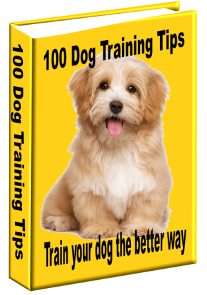 100 Dog Training Tips