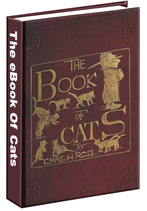 The Book of Cats