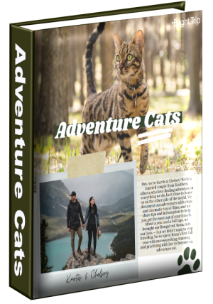 Adventure Cats